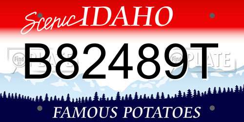 B82489T Idaho License Plate