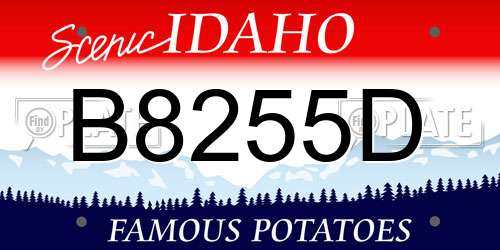 B8255D Idaho License Plate