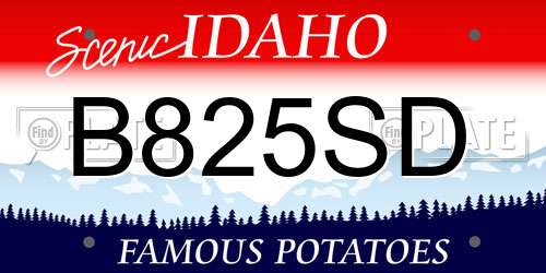 B825SD Idaho License Plate