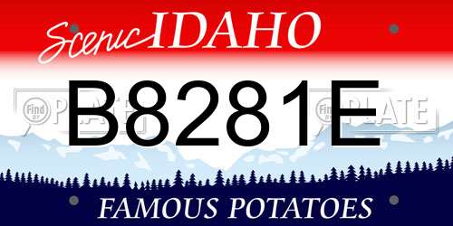 B8281E Idaho License Plate