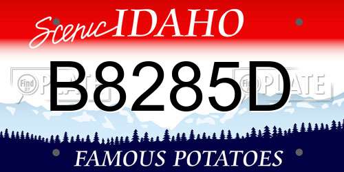 B8285D Idaho License Plate