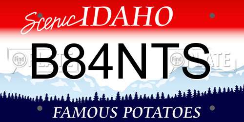 B84NTS Idaho License Plate