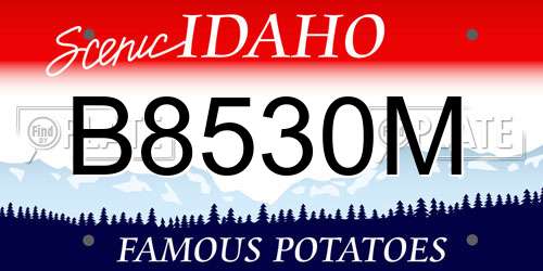 B8530M Idaho License Plate