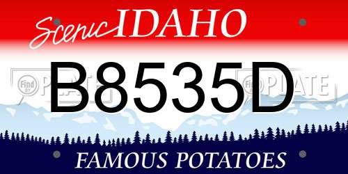 B8535D Idaho License Plate