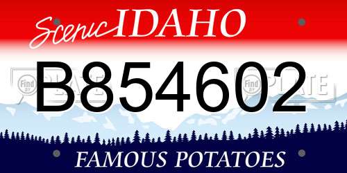 B854602 Idaho License Plate