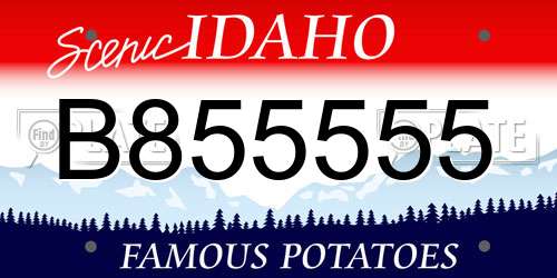 B855555 Idaho License Plate