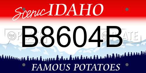 B8604B Idaho License Plate