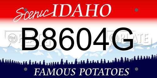 B8604G Idaho License Plate