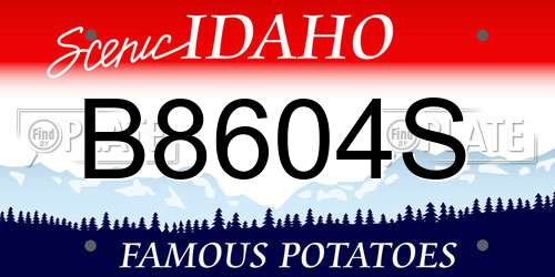 B8604S Idaho License Plate