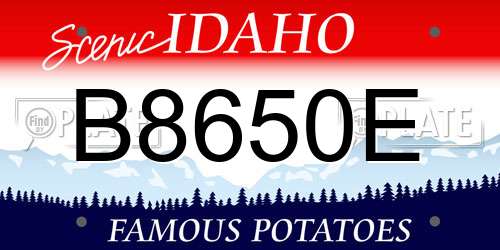 B8650E Idaho License Plate