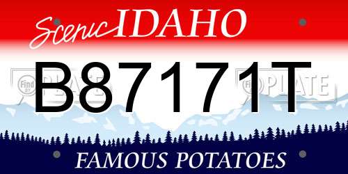B87171T Idaho License Plate