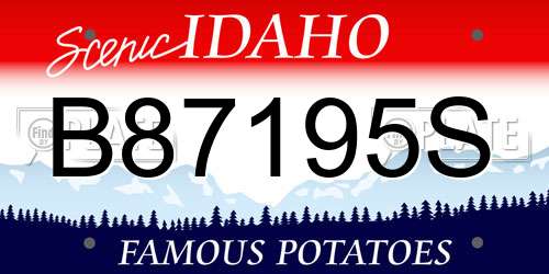 B87195S Idaho License Plate