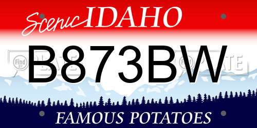 B873BW Idaho License Plate