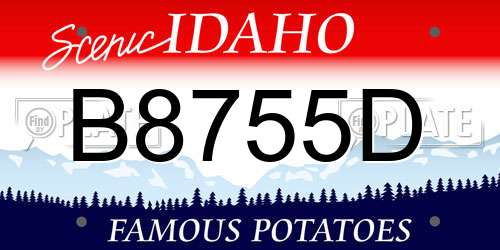 B8755D Idaho License Plate
