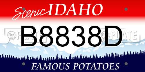 B8838D Idaho License Plate