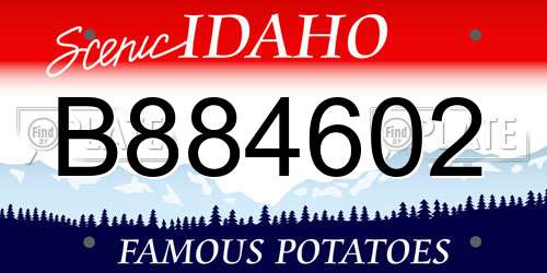 B884602 Idaho License Plate
