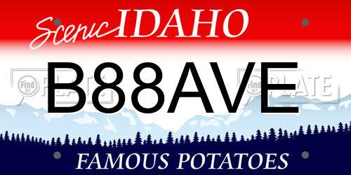 B88AVE Idaho License Plate