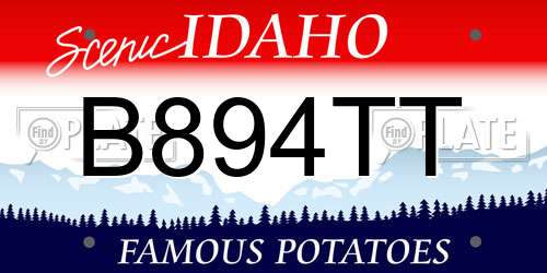 B894TT Idaho License Plate