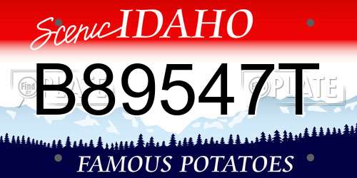 B89547T Idaho License Plate