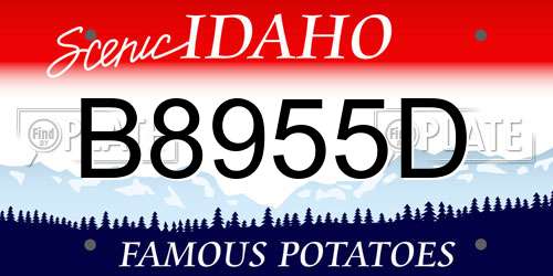 B8955D Idaho License Plate