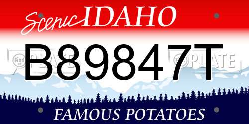 B89847T Idaho License Plate