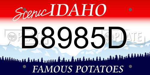 B8985D Idaho License Plate