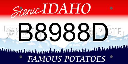 B8988D Idaho License Plate