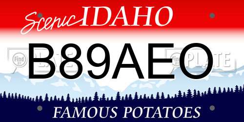 B89AEO Idaho License Plate