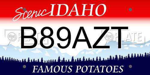 B89AZT Idaho License Plate