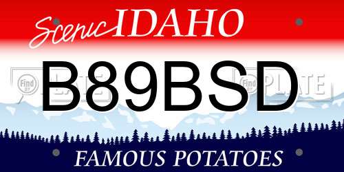 B89BSD Idaho License Plate