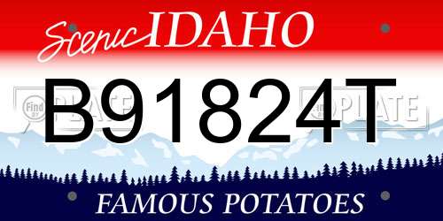 B91824T Idaho License Plate