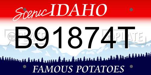 B91874T Idaho License Plate