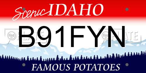 B91FYN Idaho License Plate