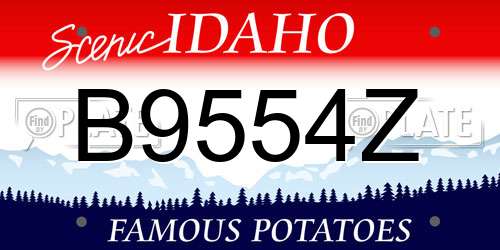 B9554Z Idaho License Plate