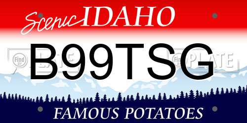 B99TSG Idaho License Plate