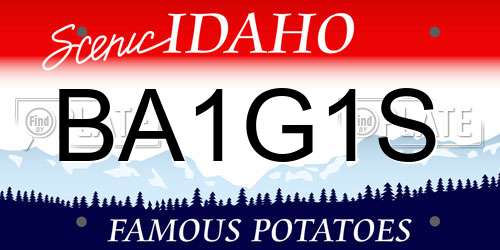 BA1G1S Idaho License Plate