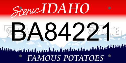 BA84221 Idaho License Plate