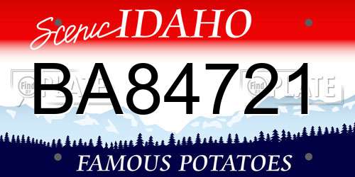 BA84721 Idaho License Plate