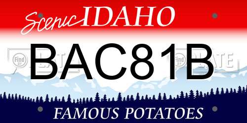 BAC81B Idaho License Plate