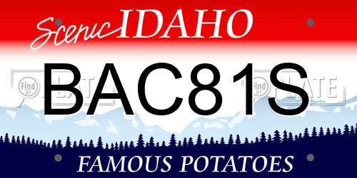 BAC81S Idaho License Plate