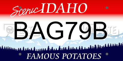 BAG79B Idaho License Plate