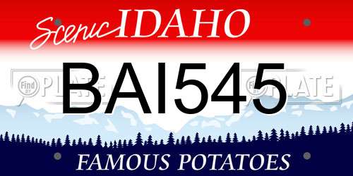 BAI545 Idaho License Plate