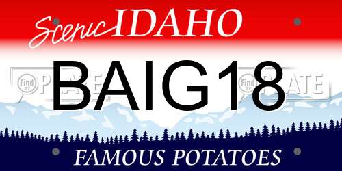BAIG18 Idaho License Plate