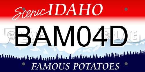 BAM04D Idaho License Plate