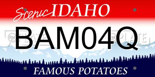 BAM04Q Idaho License Plate