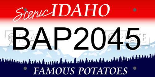 BAP2045 Idaho License Plate