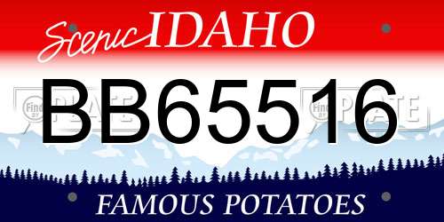 BB65516 Idaho License Plate