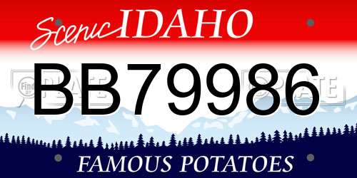 BB79986 Idaho License Plate
