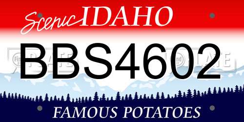 BBS4602 Idaho License Plate