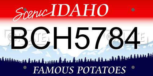 BCH5784 Idaho License Plate